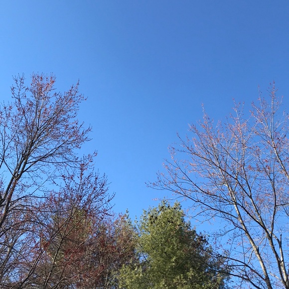 Meet your Posher, Dani - Picture 1 of 1